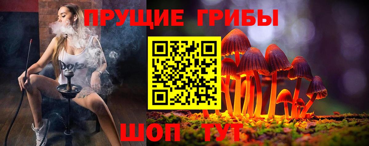 Галлюциногенные грибы Cubensis  закладки  Мирный  Псилоцибиновые грибы Magic Shrooms  Вход с VPN 